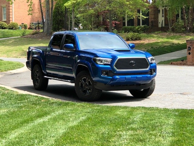 trd4.jpg