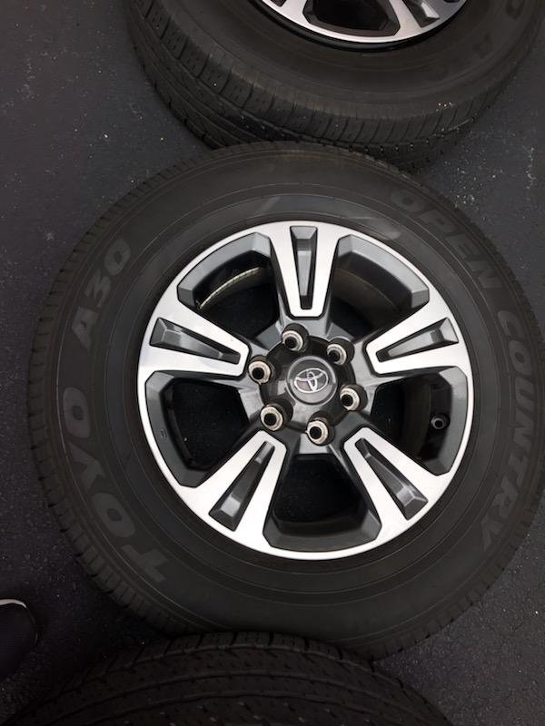 trd6.jpg