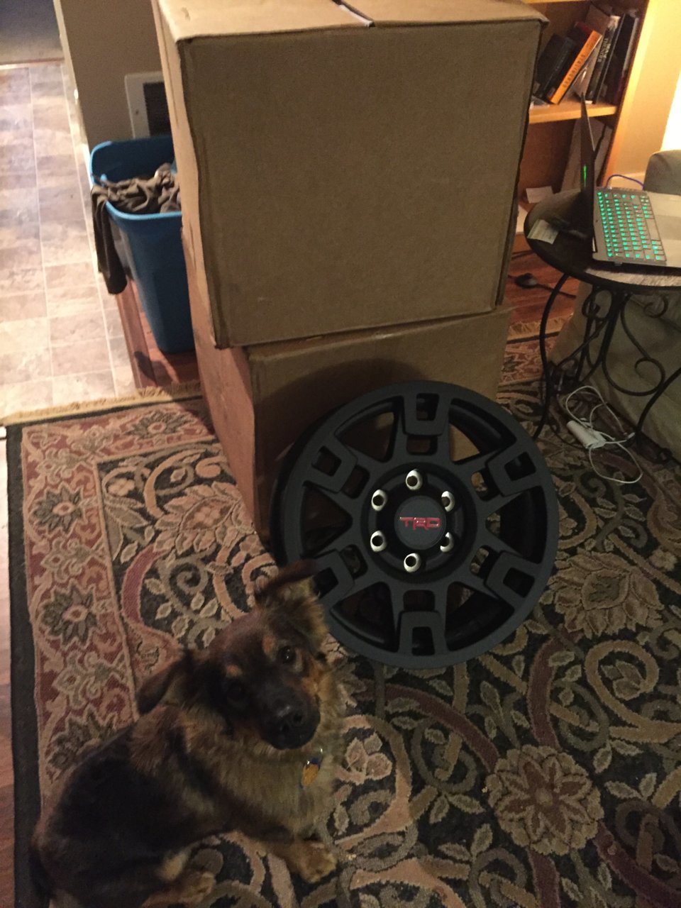 TRD_PRO_BLK.jpg