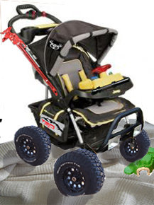 trdbuggy.jpg