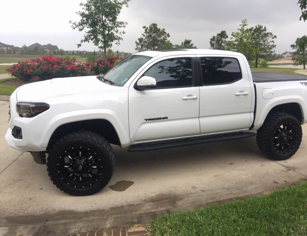 trdsport2.jpg