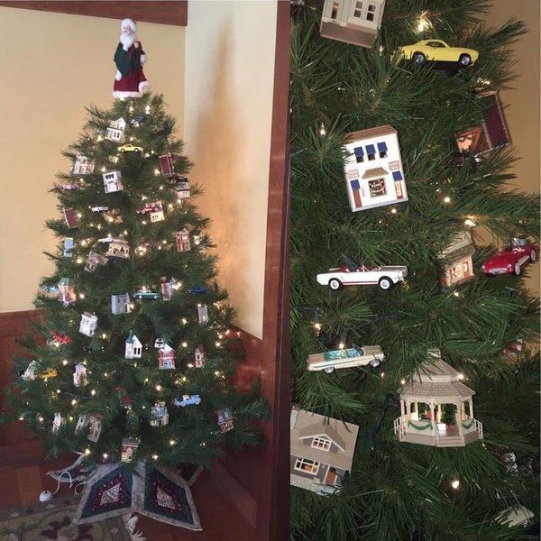 Tree 1.jpg