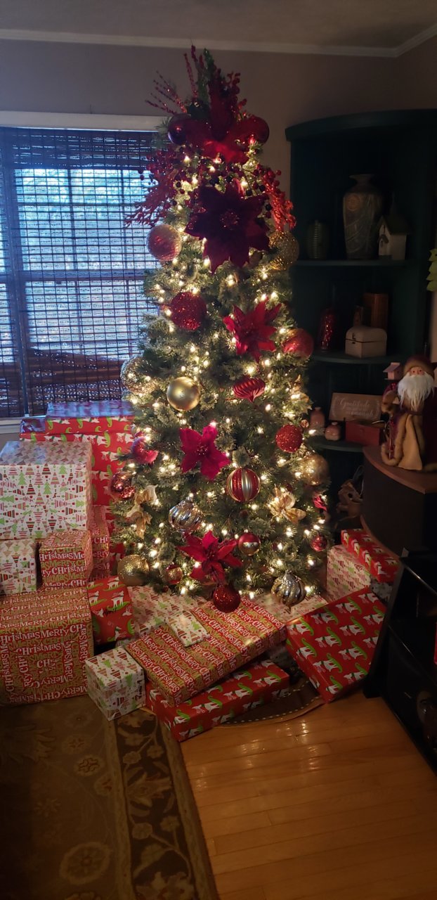 tree (1).jpg