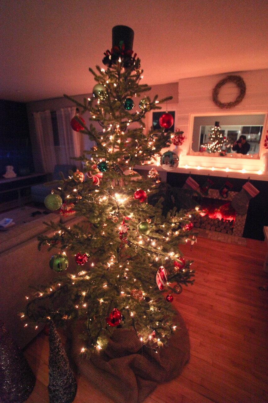 TREE (1 of 1).jpg