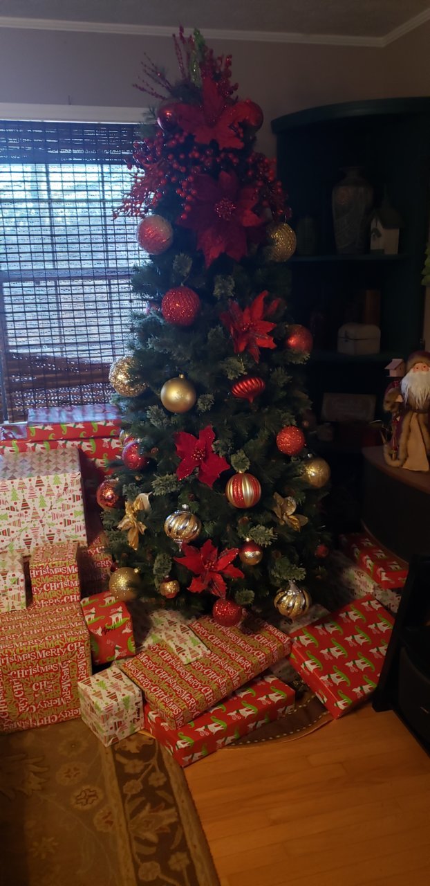 tree (2).jpg