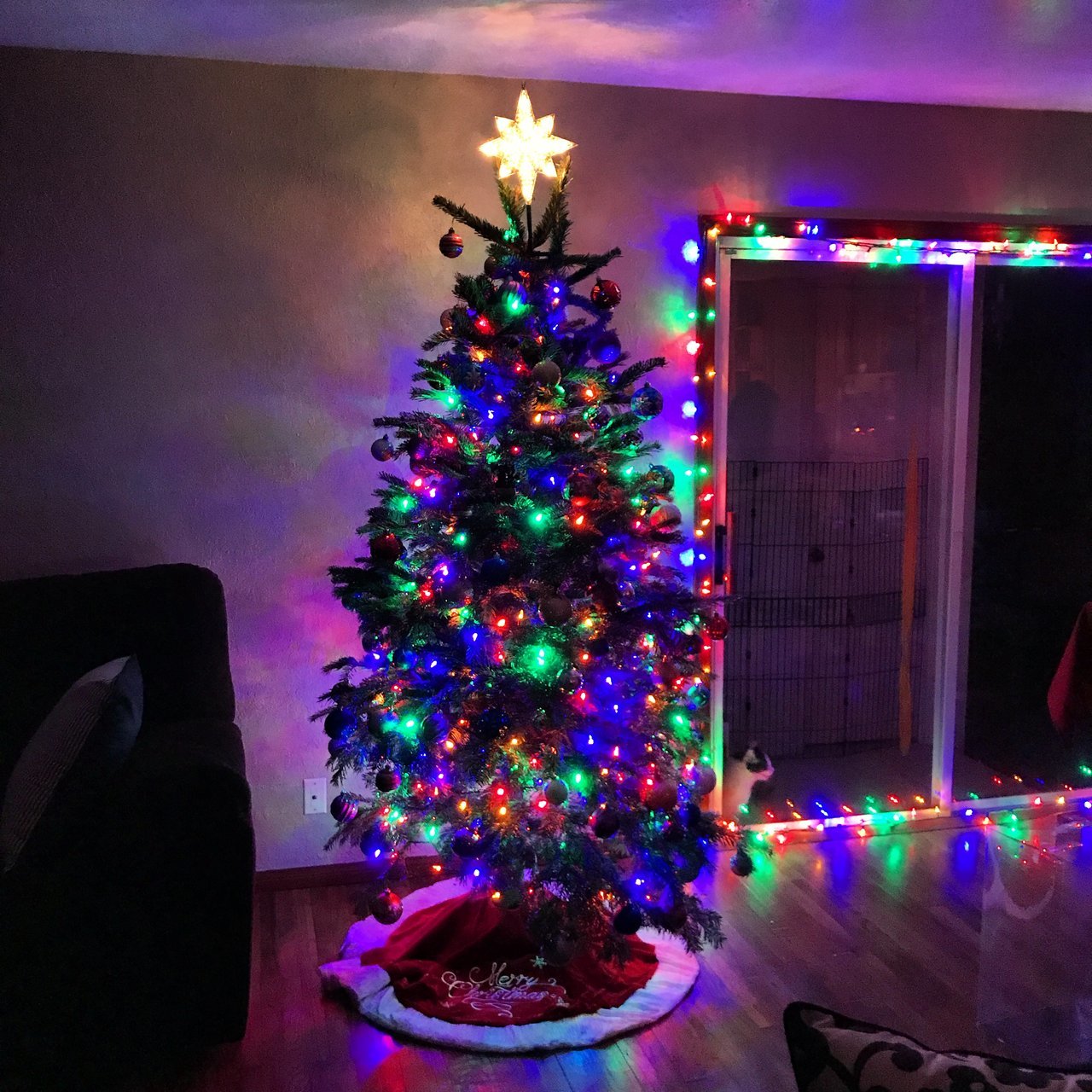 Tree.jpg