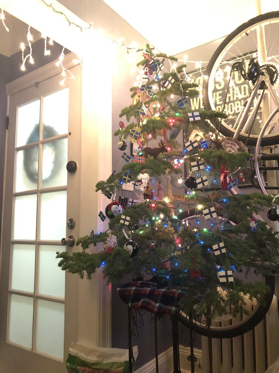 tree.jpg