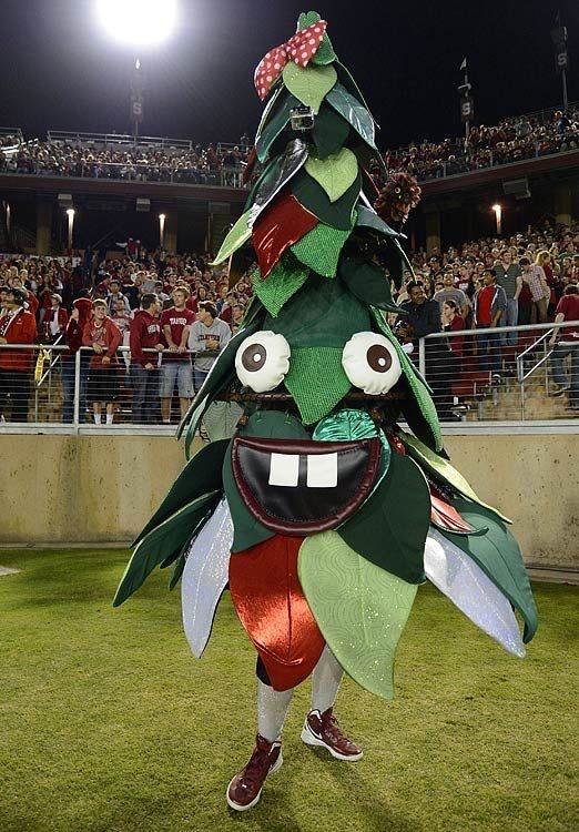 tree.jpg