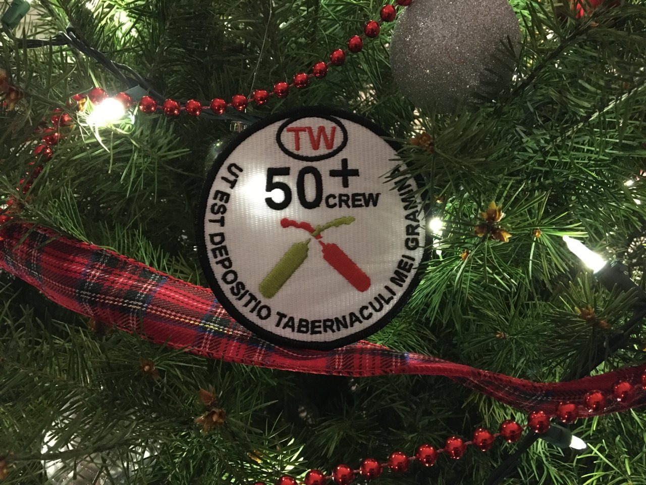 tree.jpg