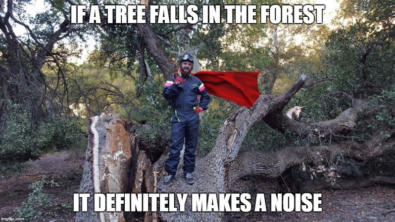 tree.jpg