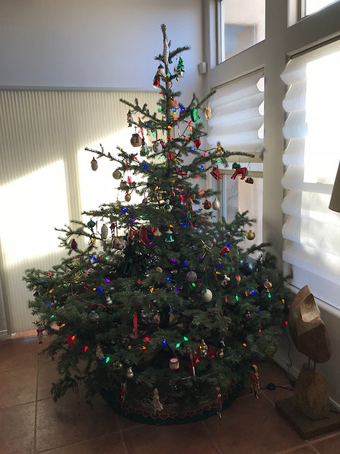 tree1217.jpg