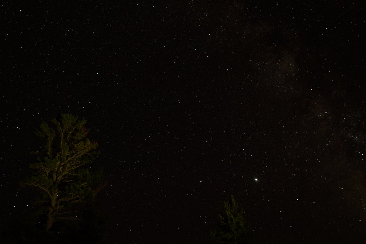 Tree_MilkyWay.jpg