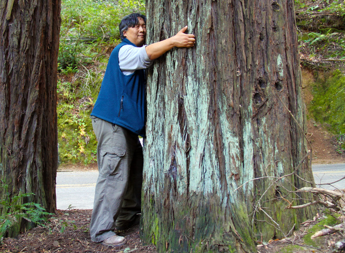 TreeHugger-SML1.jpg