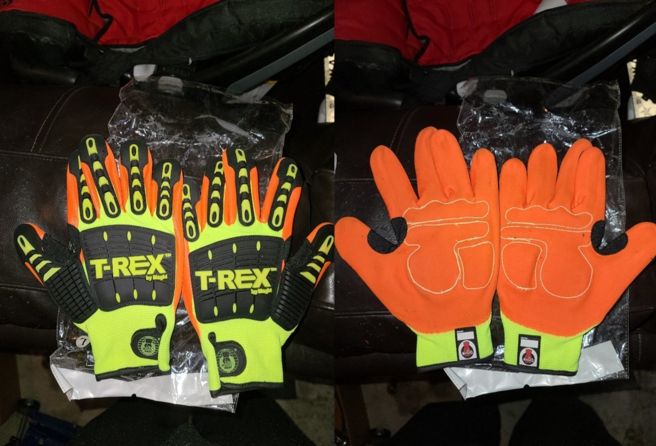 Trex_2.jpg