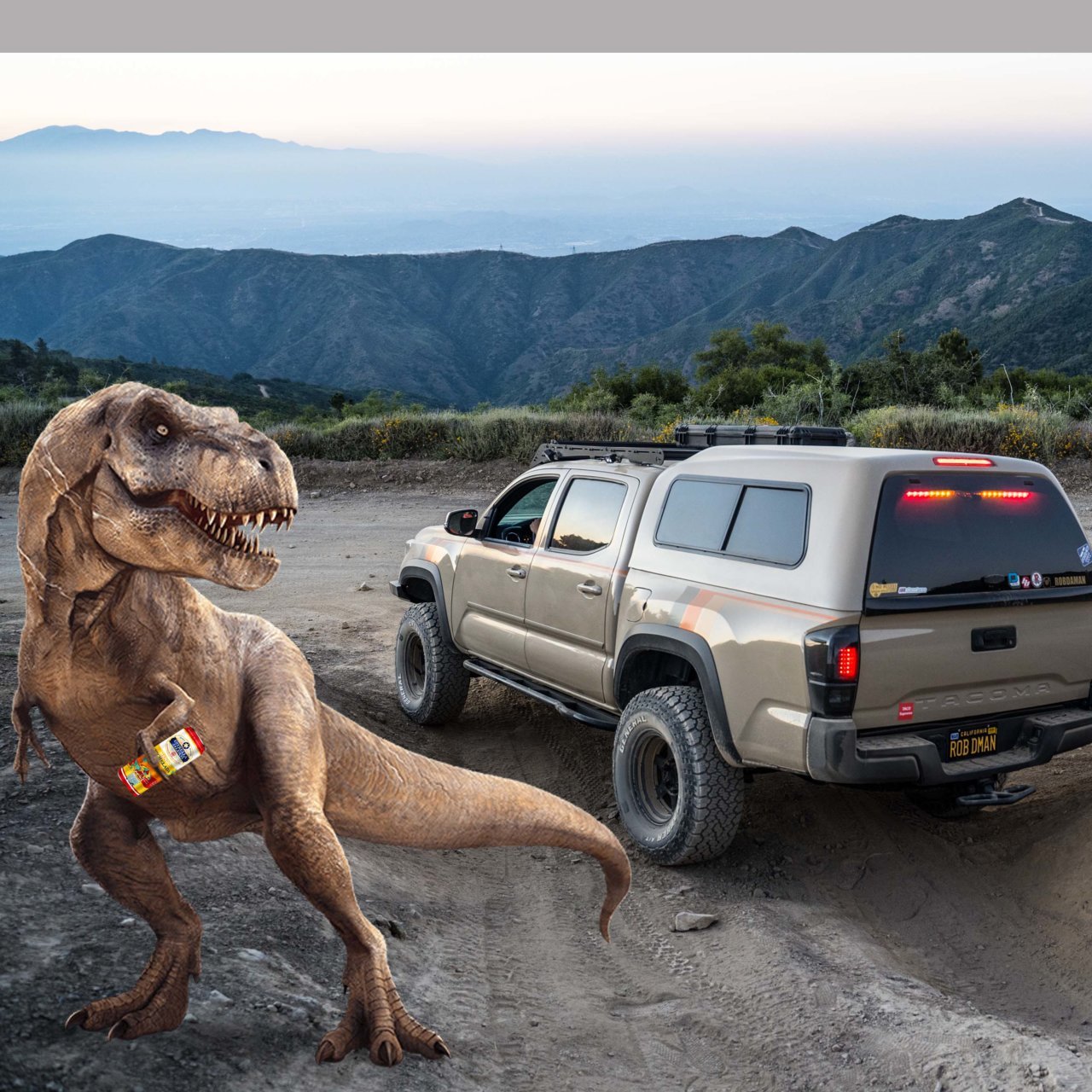 trextaco_edited-1.jpg