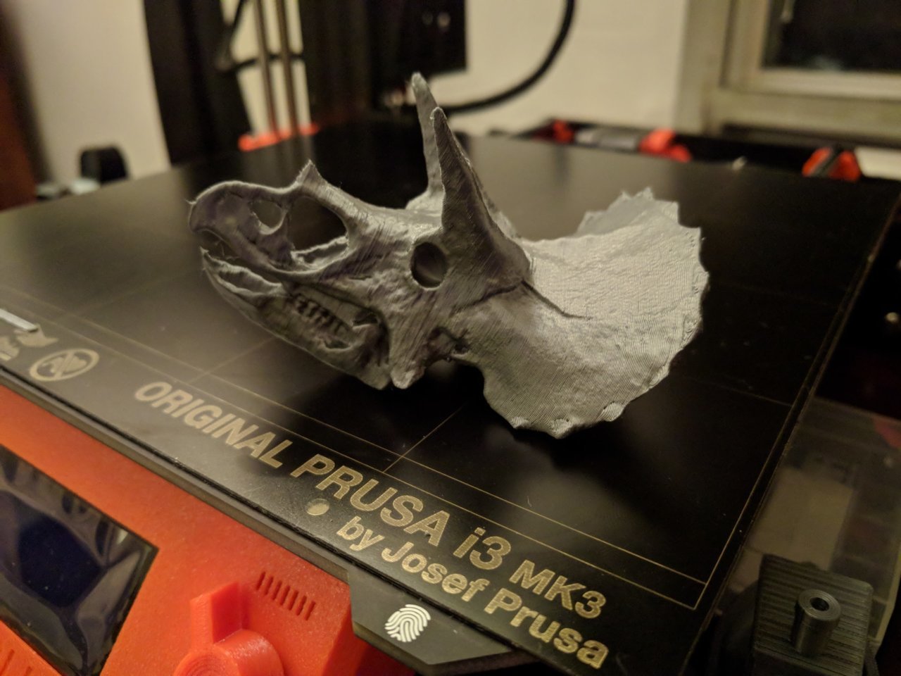Triceratops.jpg
