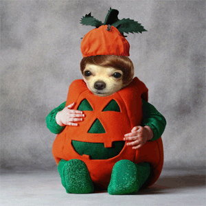 trick-or-treater.jpg