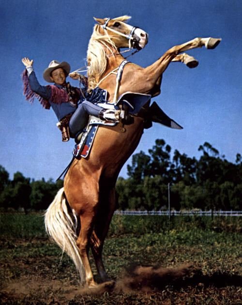 trigger-horse-f7bdb8f9-8cf7-4eb9-b2eb-ec214eea44e-resize-750.jpg