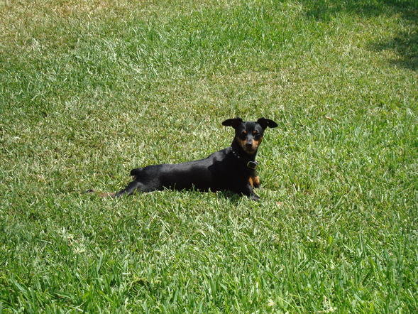 trigger lounging.jpg