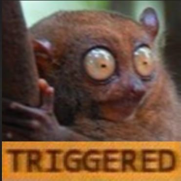 triggered.jpg