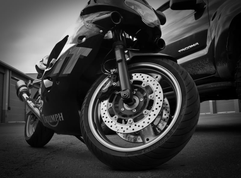 Triumph-12-1_9fbceedfded6be6f41b664a3c8a1d250609f0076.jpg