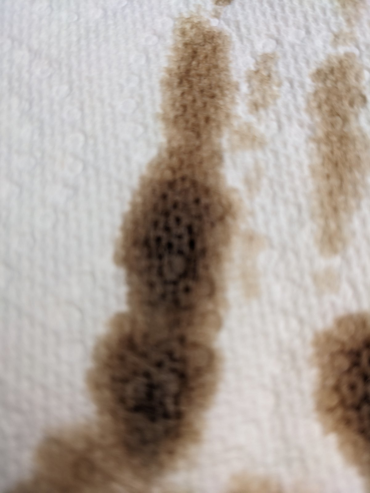 trns_fluid.jpg