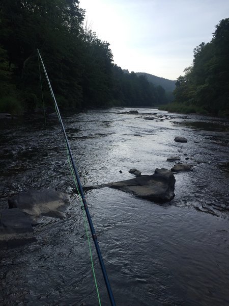 trout 1.jpg