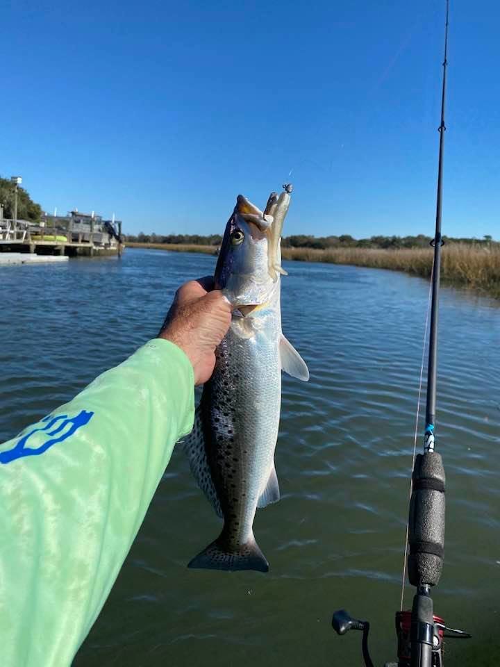 trout.jpg