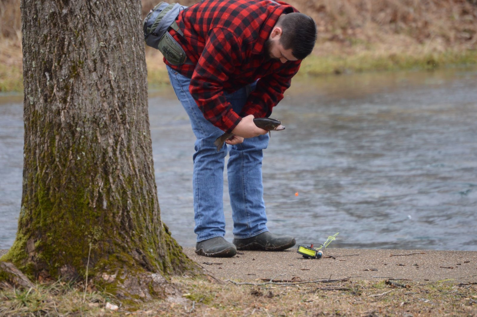 trout1.jpg