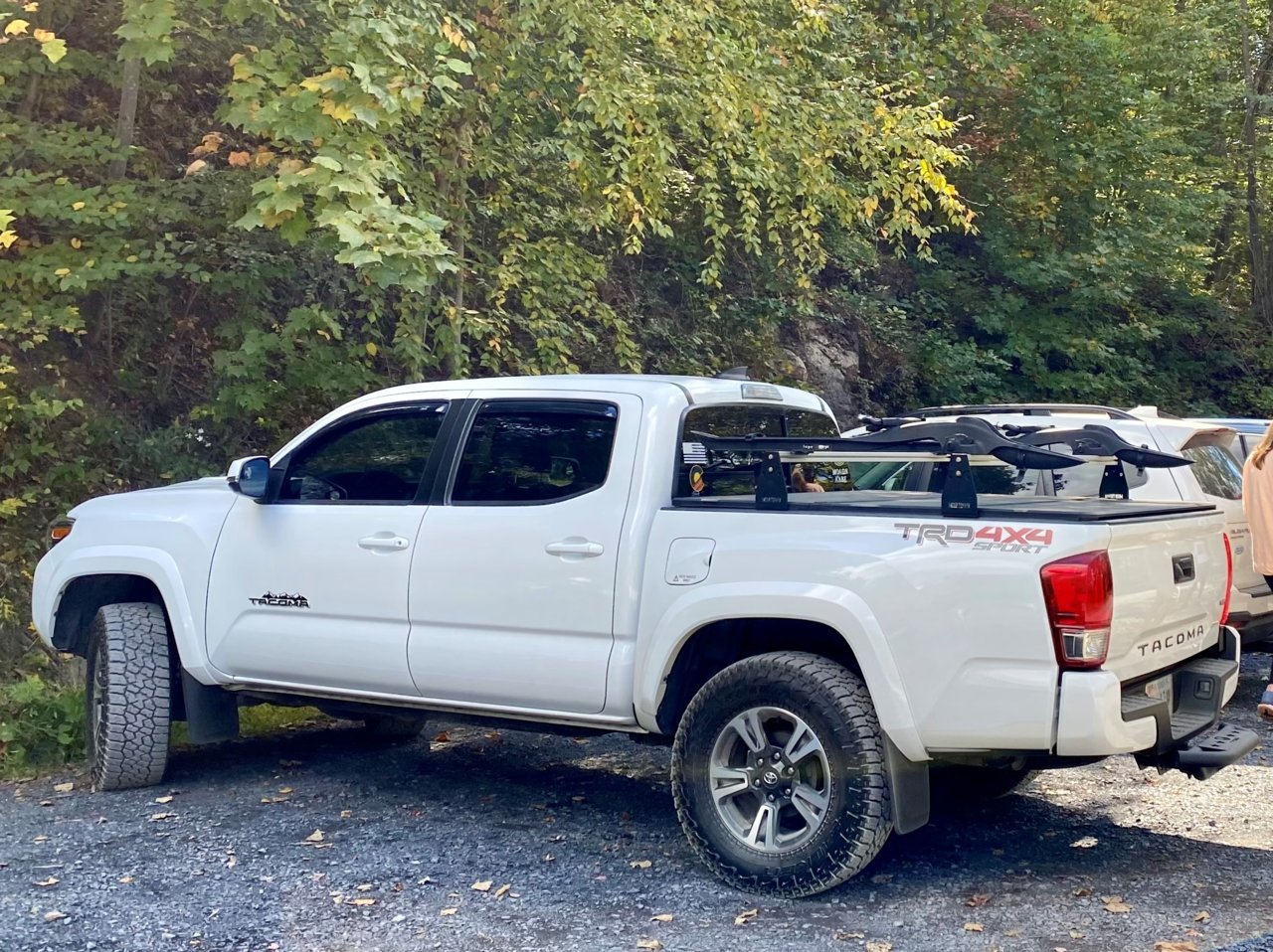 truck 1.1.jpg