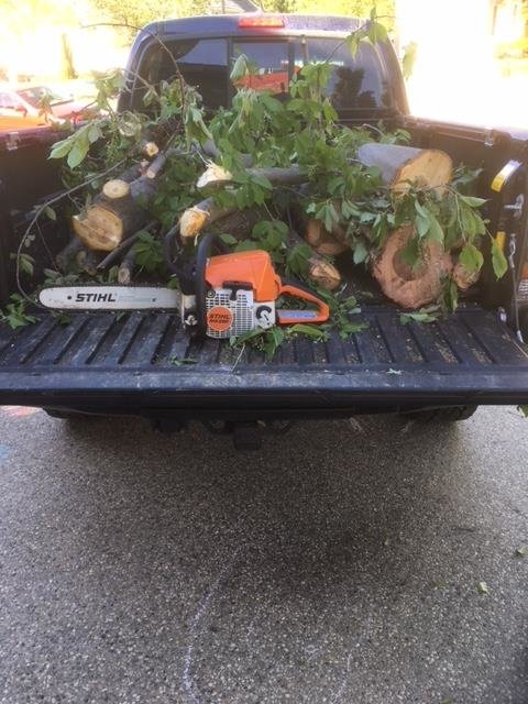 truck 1.jpg