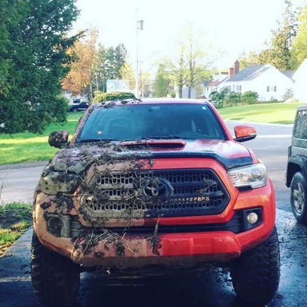 truck 2.jpg