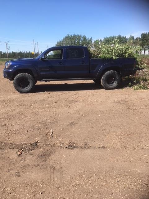 truck 2.jpg