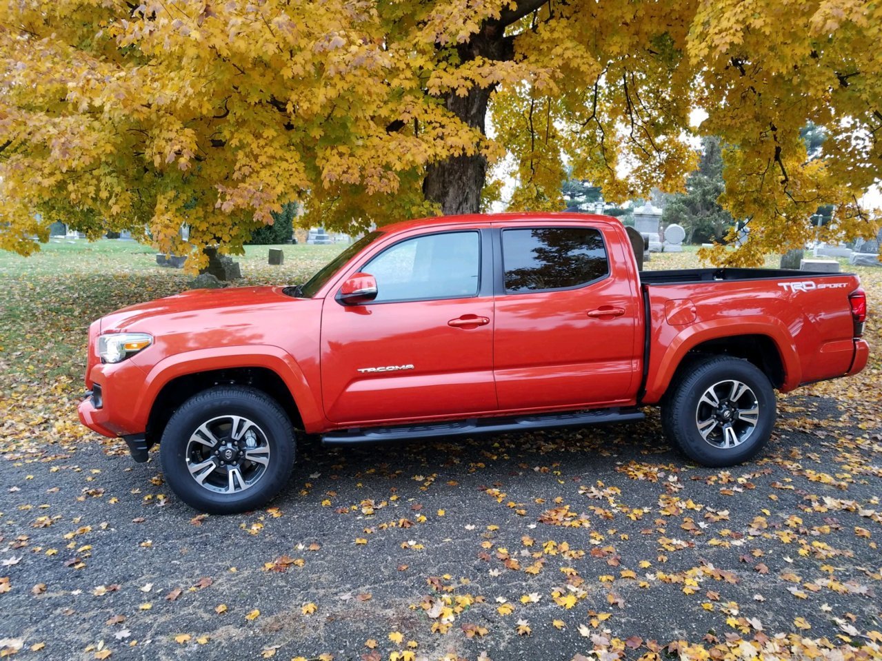 truck 2.jpg