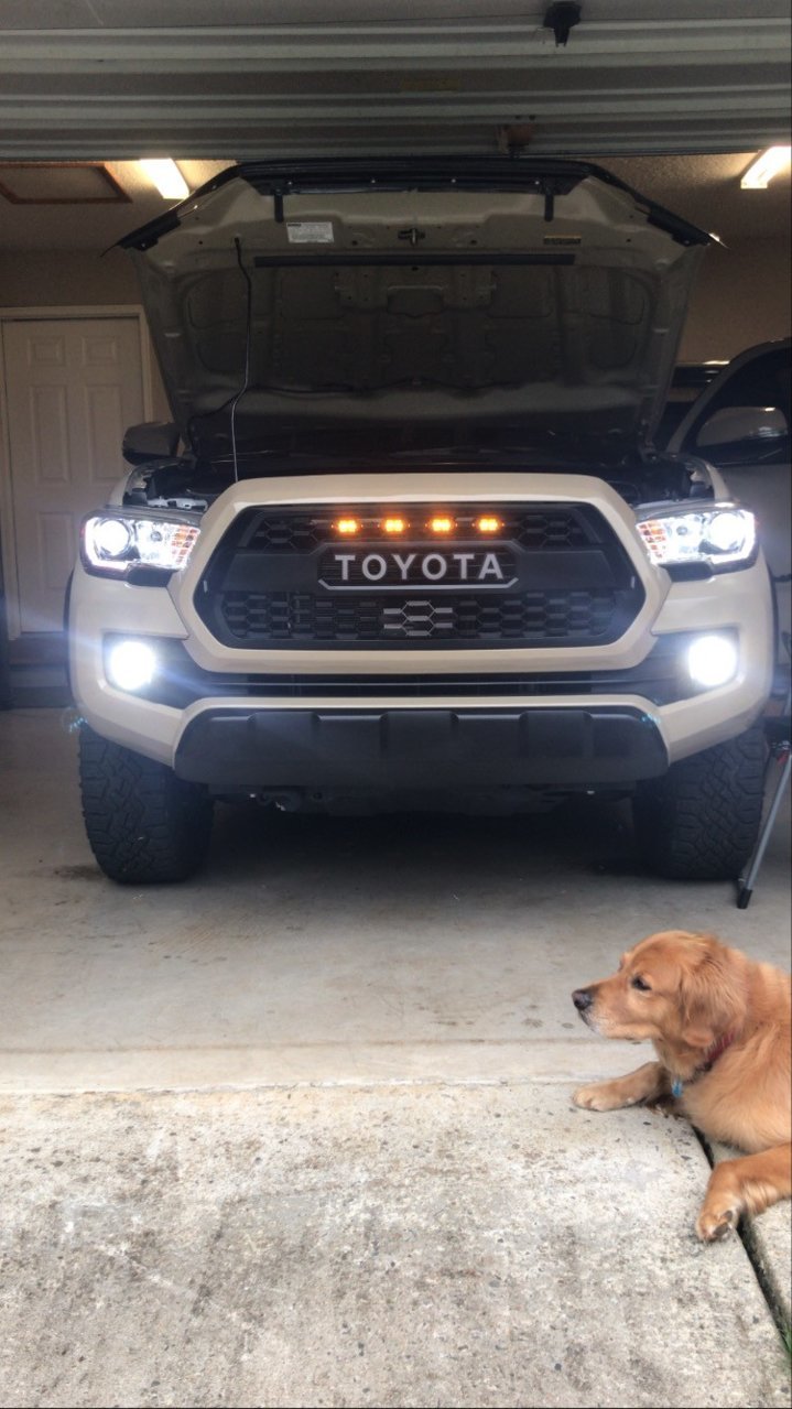 Truck 2.jpg