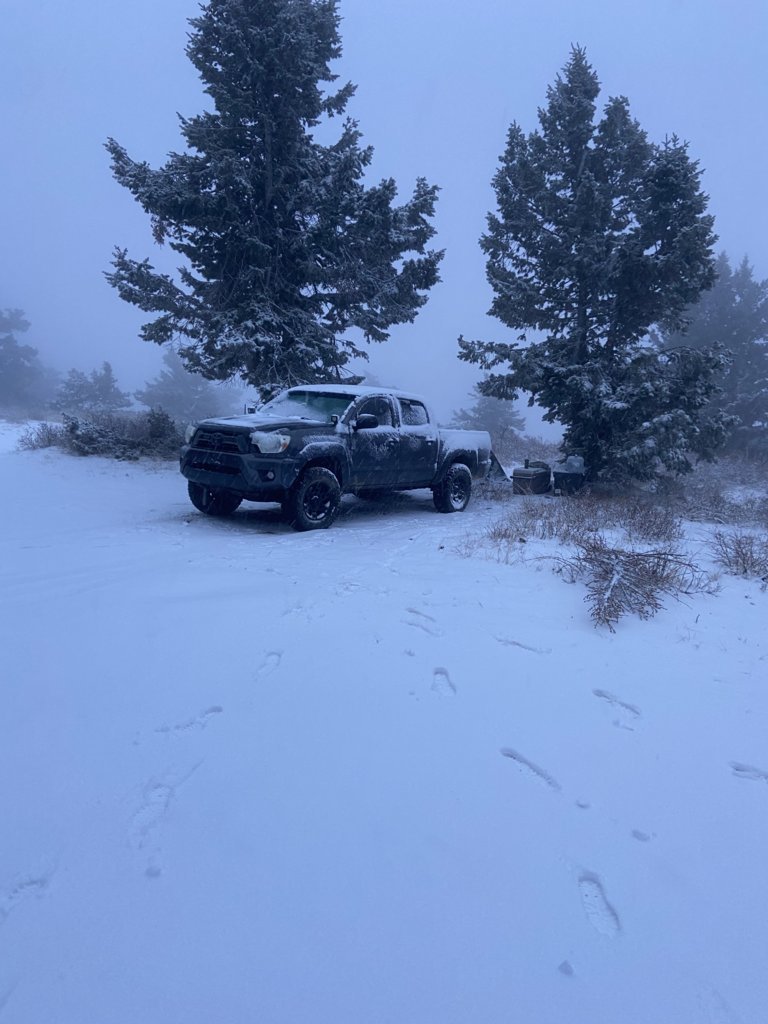 Truck.2.jpg