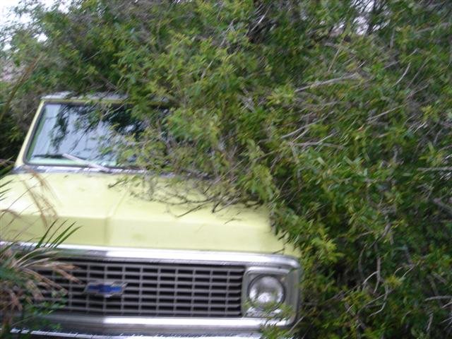 truck before paint 041 (Small).jpg