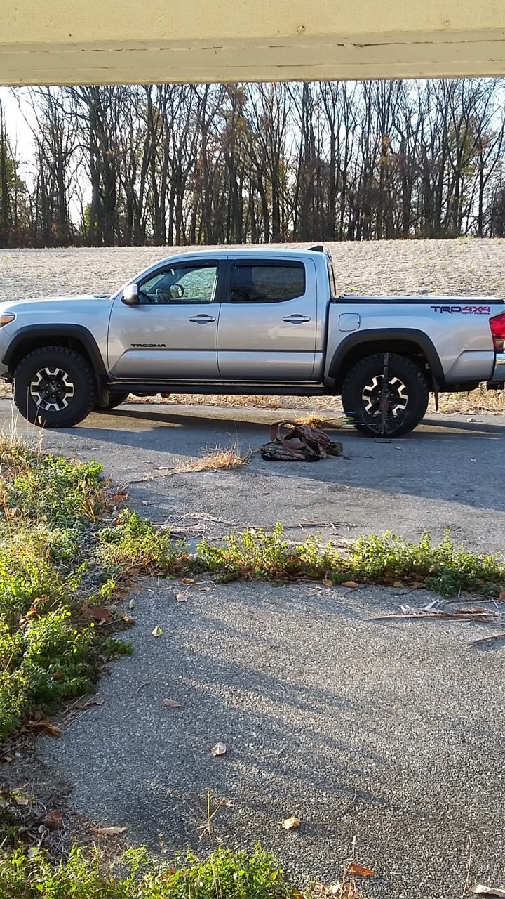 truck bow.jpg