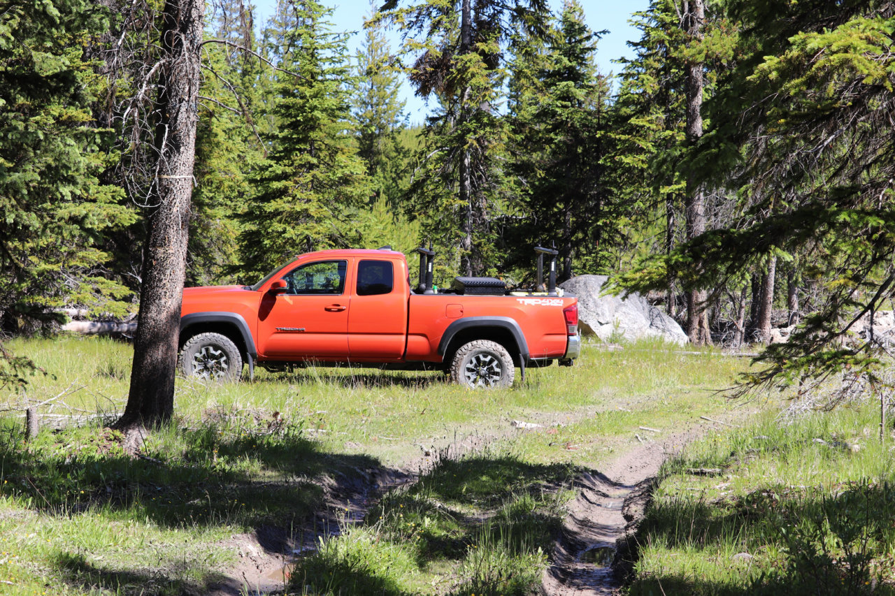 truck field.jpg