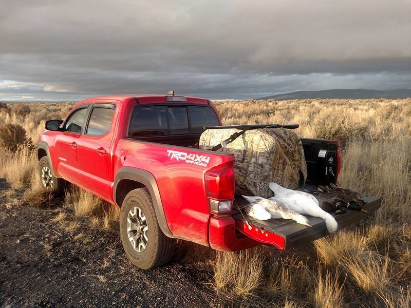 truck.jpg