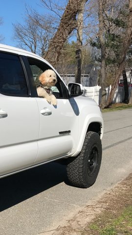 truck.jpg