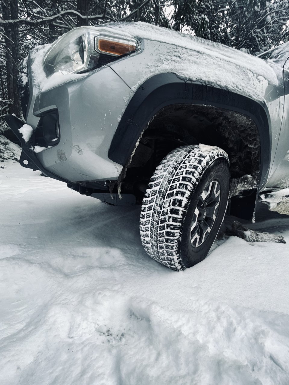 truck.jpg