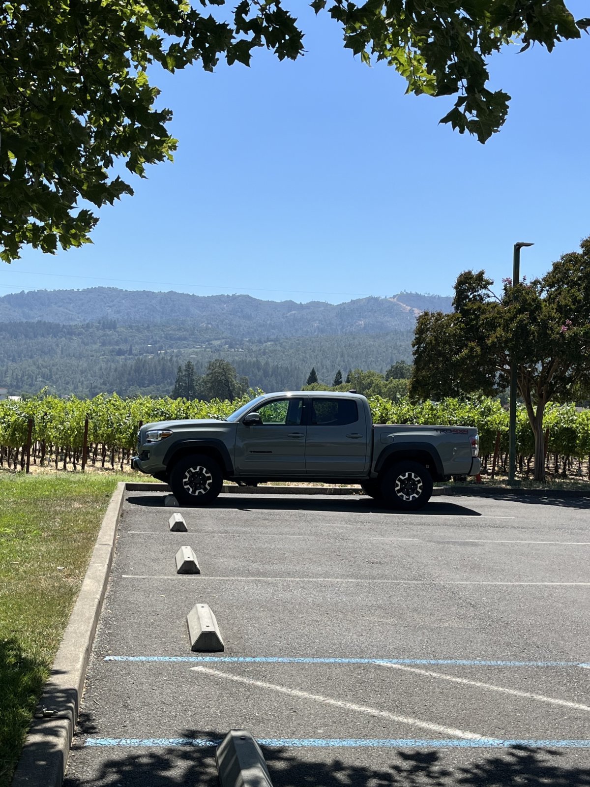 TRuck.jpg