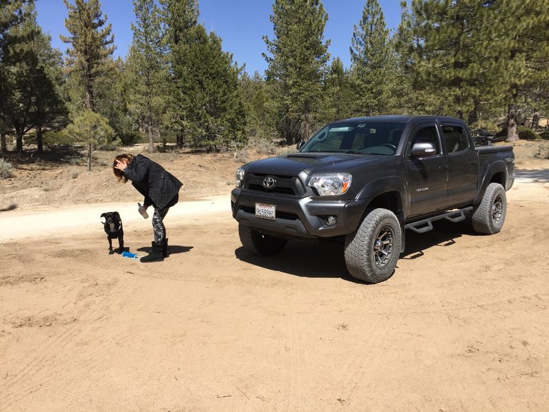truck-luna2.jpg