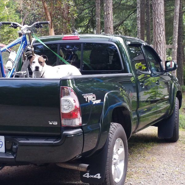 truck pic.jpg