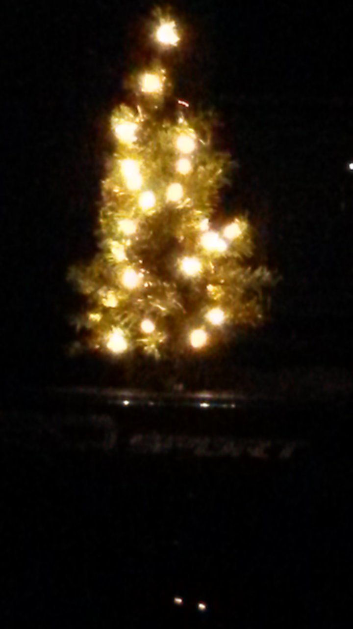 truck tree.jpg