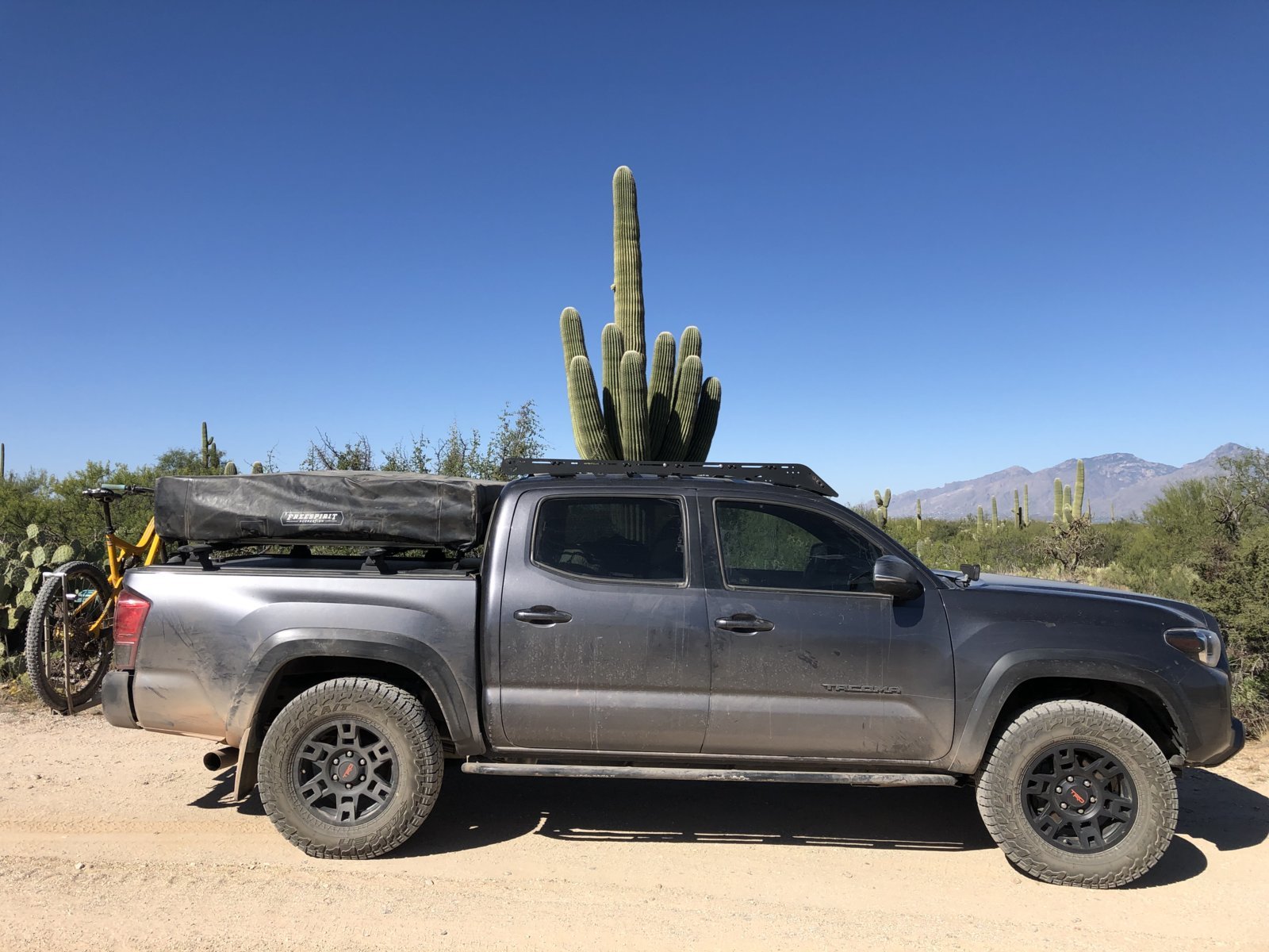 truck01.jpg