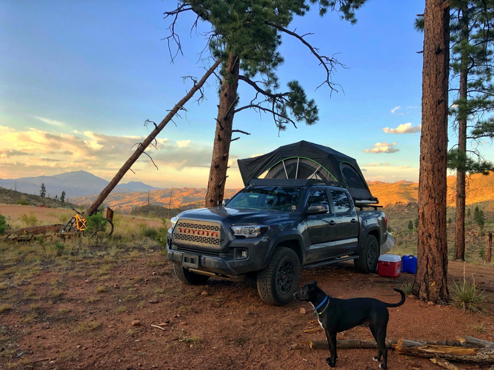 truck03.jpg