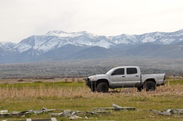 Truck031_42a8cbf235b1c08b490f31e69ab86779baf5dc86.jpg