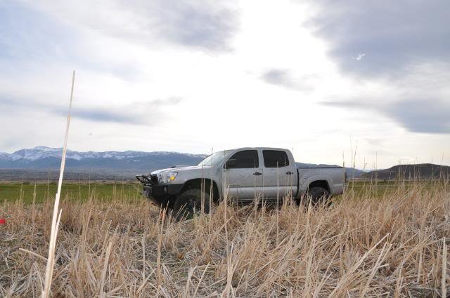 Truck032_8c0bb6d7752c4e6f368f9e43b000d9784f98de59.jpg